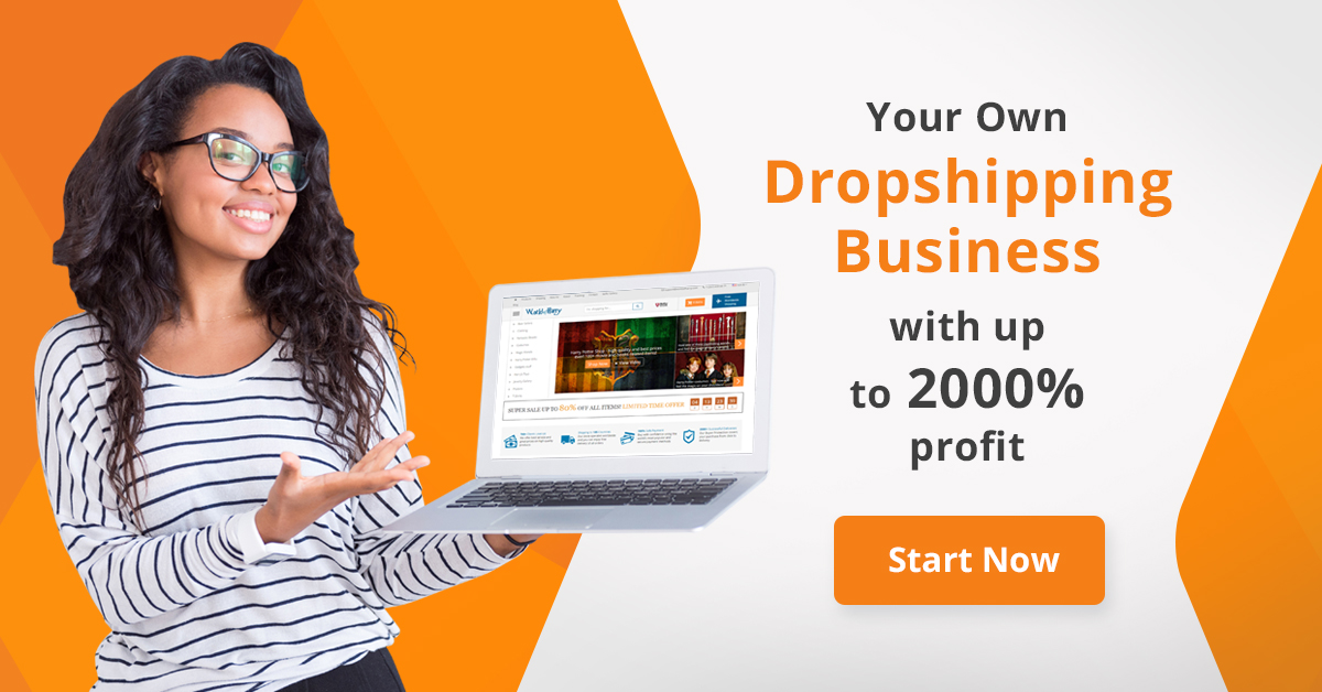 buy a pre-made dropshipping store and start earning money with dropshipping