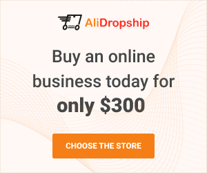 Buy an online business