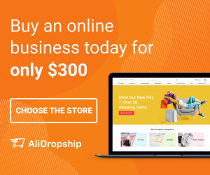 Buy an online business