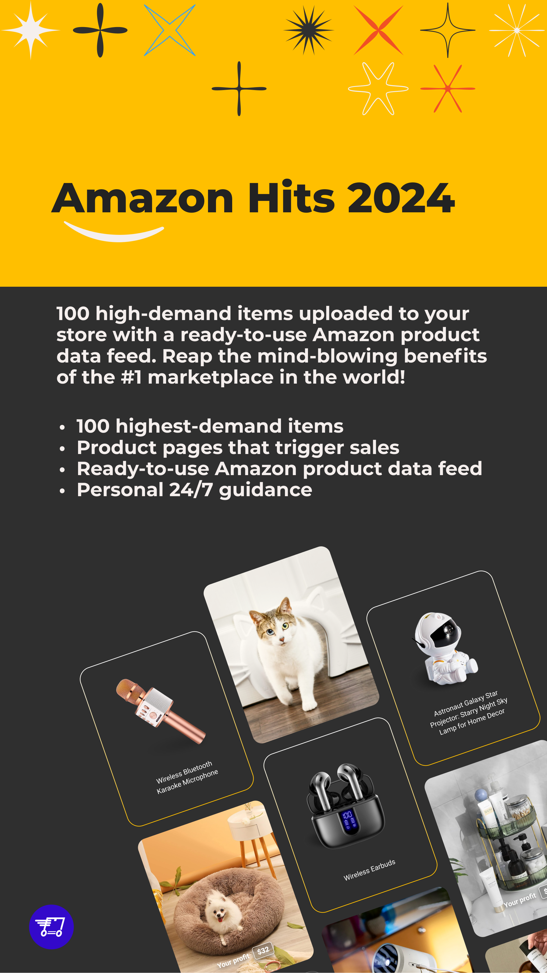 Sell Amazon Hits On Your Store!